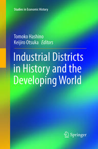 Vorderes Coverbild Industrial Districts in History and the Developing World