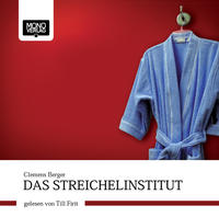 Vorderes Coverbild Das Streichelinstitut