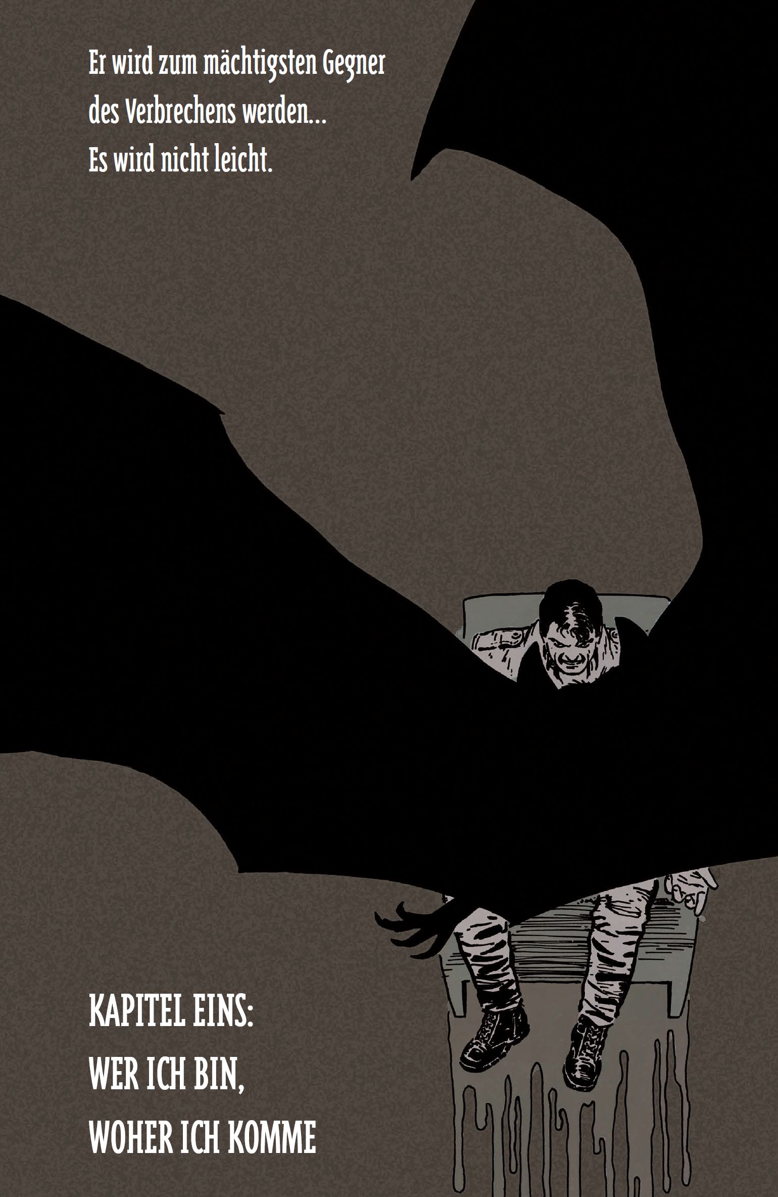 Beispielinhalt (Bild) Batman: Das erste Jahr (Neuausgabe)