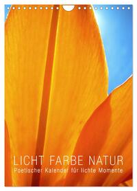 Vorderes Coverbild Licht Farbe Natur (Wandkalender 2026 DIN A4 hoch), CALVENDO Monatskalender
