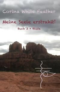 Vorderes Coverbild Meine Seele erstrahlt!