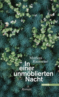 Vorderes Coverbild In einer unmöblierten Nacht