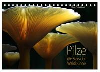 Vorderes Coverbild Pilze - die Stars der Waldbühne (Tischkalender 2025 DIN A5 quer), CALVENDO Monatskalender