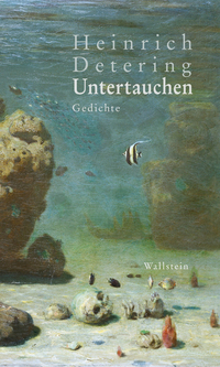 Vorderes Coverbild Untertauchen