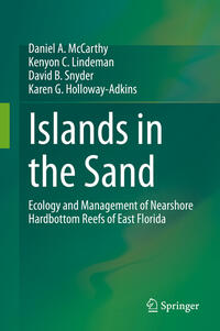 Vorderes Coverbild Islands in the Sand