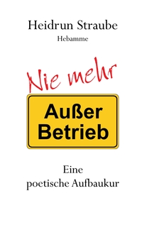 Vorderes Coverbild Nie mehr "Außer Betrieb"