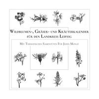 Vorderes Coverbild Wildblumen-, Gräser- und Kräuterkalender für den Landkreis Leipzig