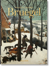 Vorderes Coverbild Bruegel. Sämtliche Gemälde. 40th Ed.