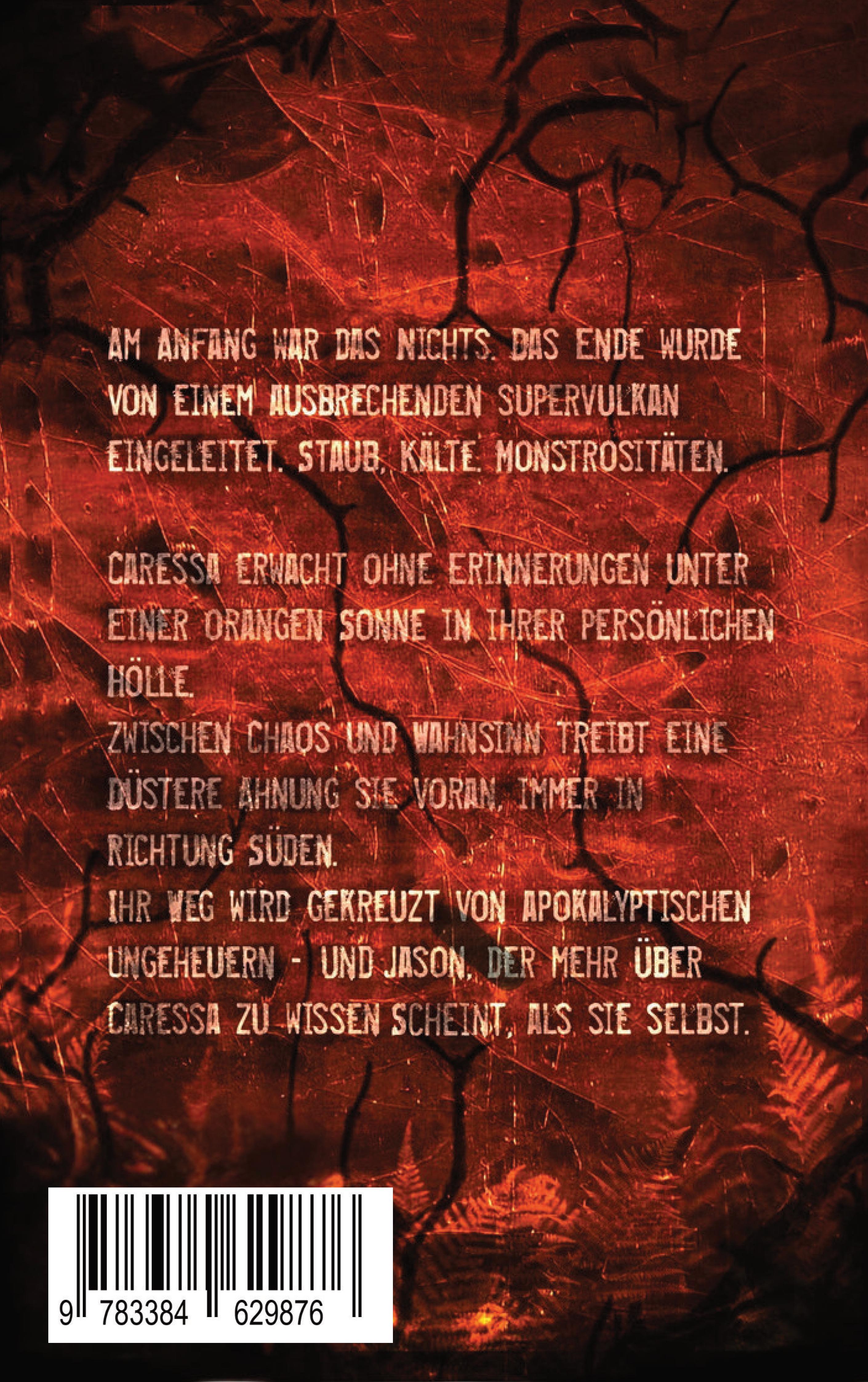 Rückseitencover Spring - Projekt I