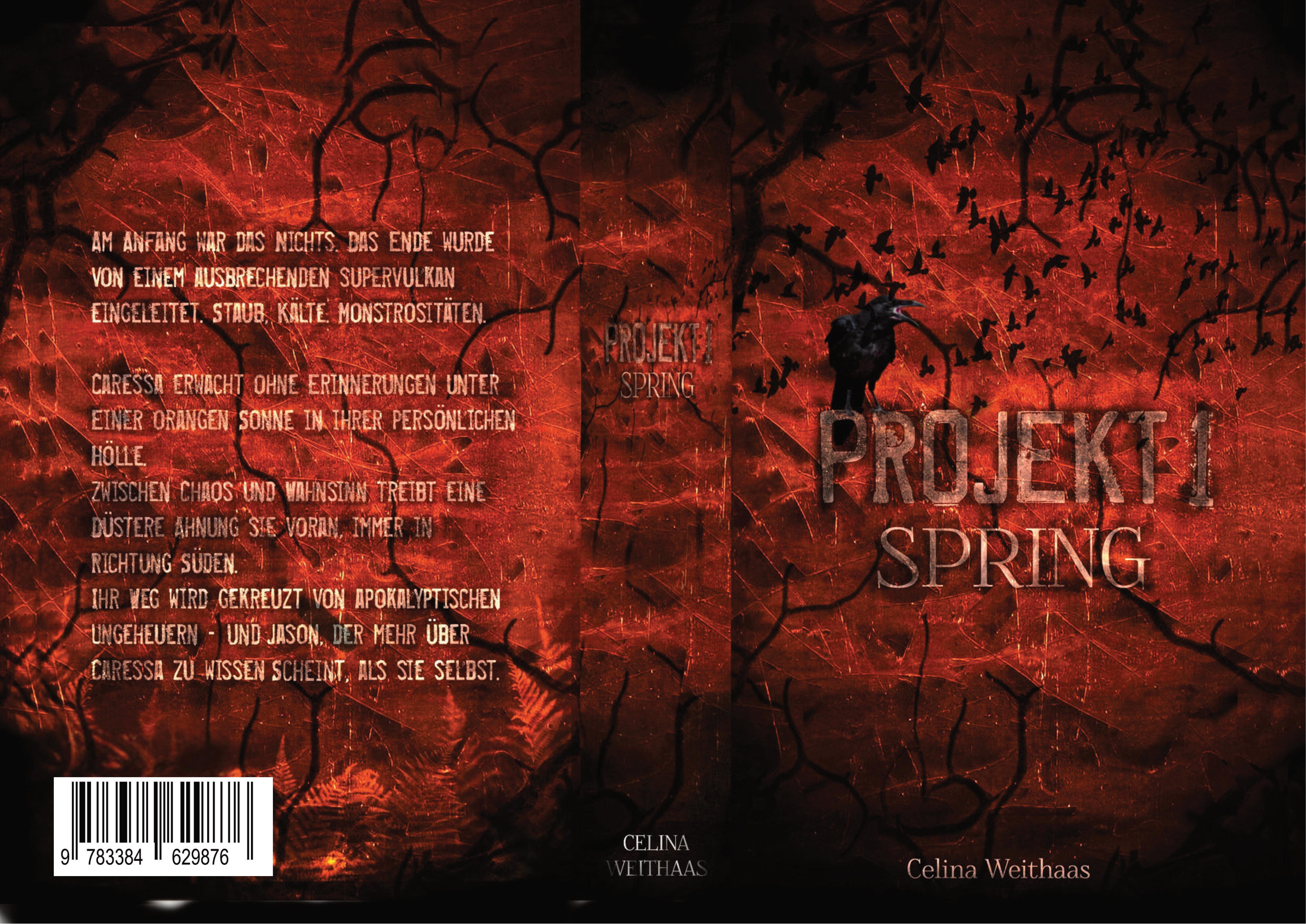 Gesamtes Coverbild Spring - Projekt I