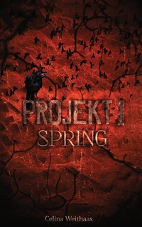 Vorderes Coverbild Spring - Projekt I