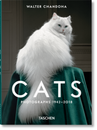 Vorderes Coverbild Walter Chandoha. Cats. Photographs 1942–2018