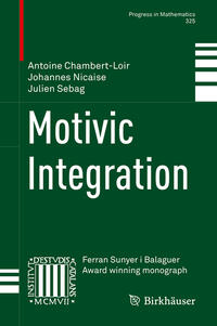 Vorderes Coverbild Motivic Integration