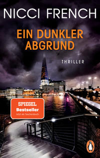 Vorderes Coverbild Ein dunkler Abgrund