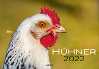 Vorderes Coverbild Hühner 2022