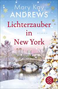Vorderes Coverbild Lichterzauber in New York