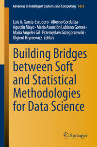 Vorderes Coverbild Building Bridges between Soft and Statistical Methodologies for Data Science