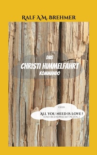 Vorderes Coverbild Das Christi Himmelfahrt Kommando
