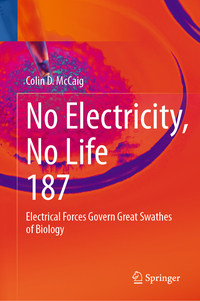 Vorderes Coverbild No Electricity, No Life