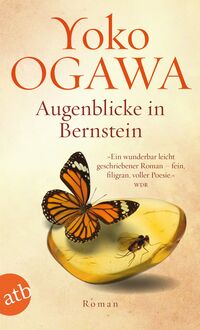 Vorderes Coverbild Augenblicke in Bernstein