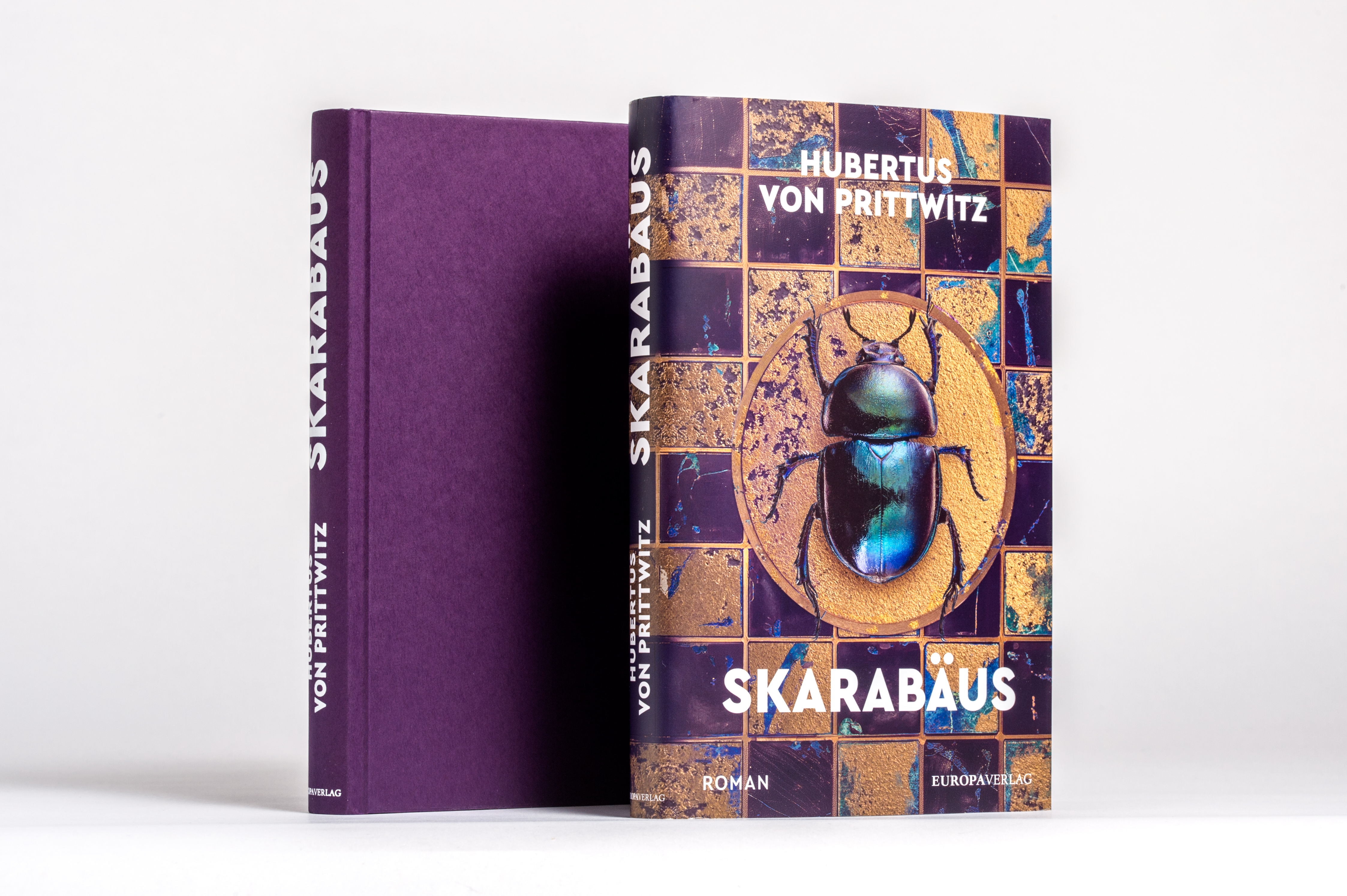Beispielinhalt (Bild) Skarabäus