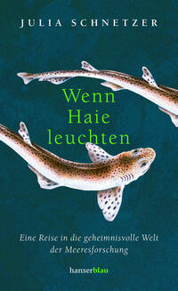 Vorderes Coverbild Wenn Haie leuchten