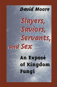 Vorderes Coverbild Slayers, Saviors, Servants and Sex