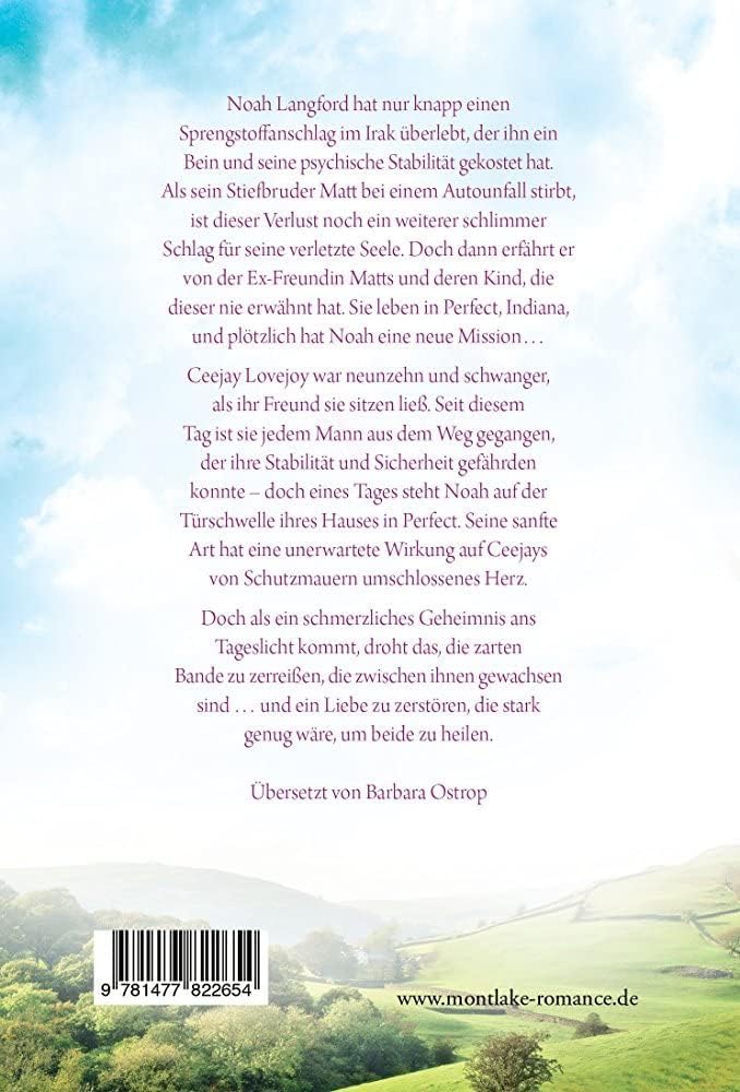 Rückseitencover Weit entferntes Glück