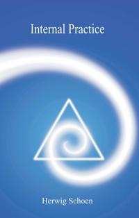 Vorderes Coverbild Internal Practice