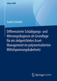 Vorderes Coverbild Differenzierte Schädigungs- und Alterungsdiagnose als Grundlage für ein zielgerichtetes Asset-Management im polymerisolierten Mittelspannungskabelnetz