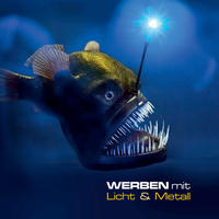 Vorderes Coverbild WERBEN mit Licht & Metall