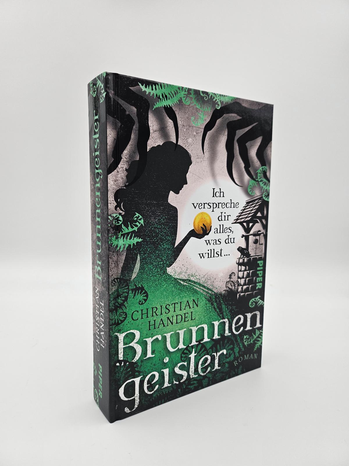 Beispielinhalt (Bild) Brunnengeister – Ich verspreche dir alles, was du willst ...