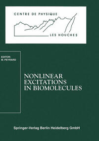 Vorderes Coverbild Nonlinear Excitations in Biomolecules