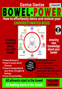 Vorderes Coverbild BOWEL-POWER - How to effortlessly detox & restore your UNDERESTIMATED BOSS