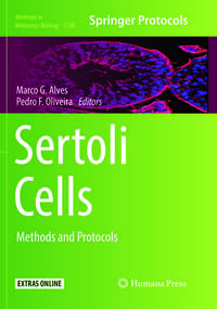 Vorderes Coverbild Sertoli Cells