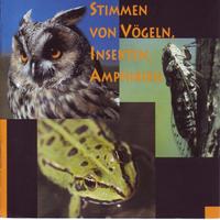 Vorderes Coverbild Stimmen von Vögeln, Insekten, Amphibien