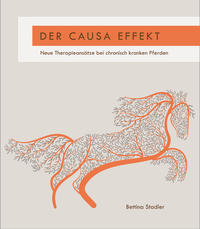 Vorderes Coverbild Der Causa Effekt