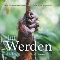 Vorderes Coverbild Im Werden