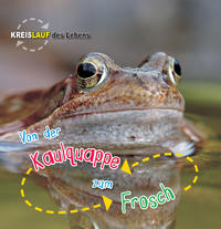 Vorderes Coverbild Von der Kaulquappe zum Frosch