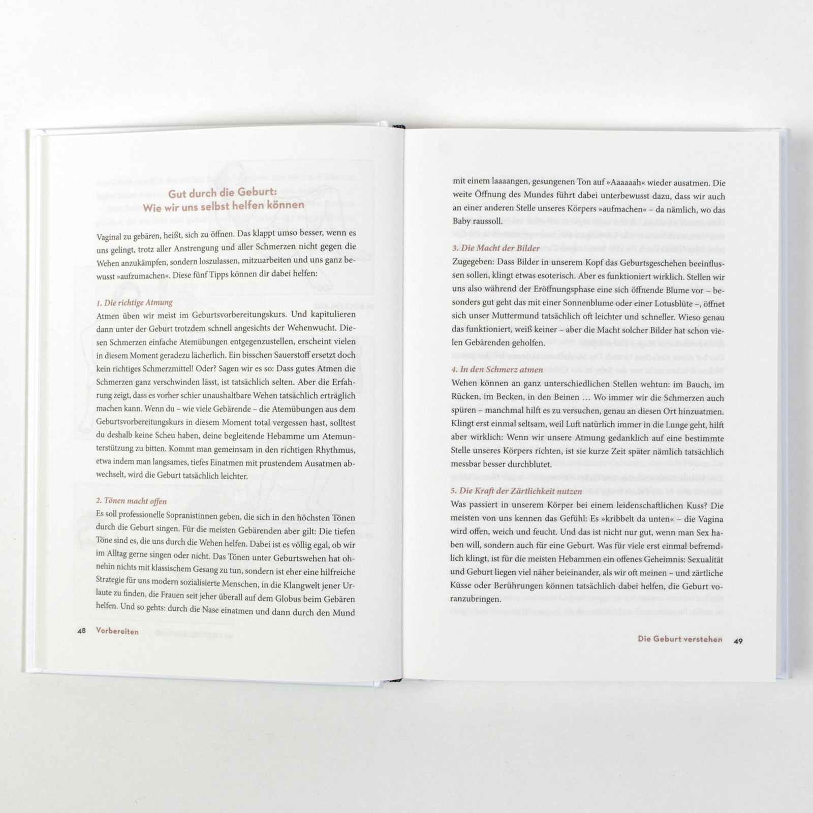 Beispielinhalt (Bild) Das Geburtsbuch