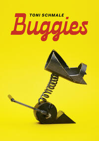 Vorderes Coverbild Buggies