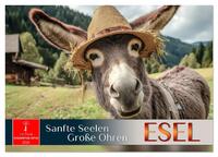 Vorderes Coverbild Esel - sanfte Seelen, große Ohren (Tischkalender 2026 DIN A5 quer), CALVENDO Monatskalender