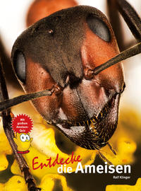 Vorderes Coverbild Entdecke die Ameisen