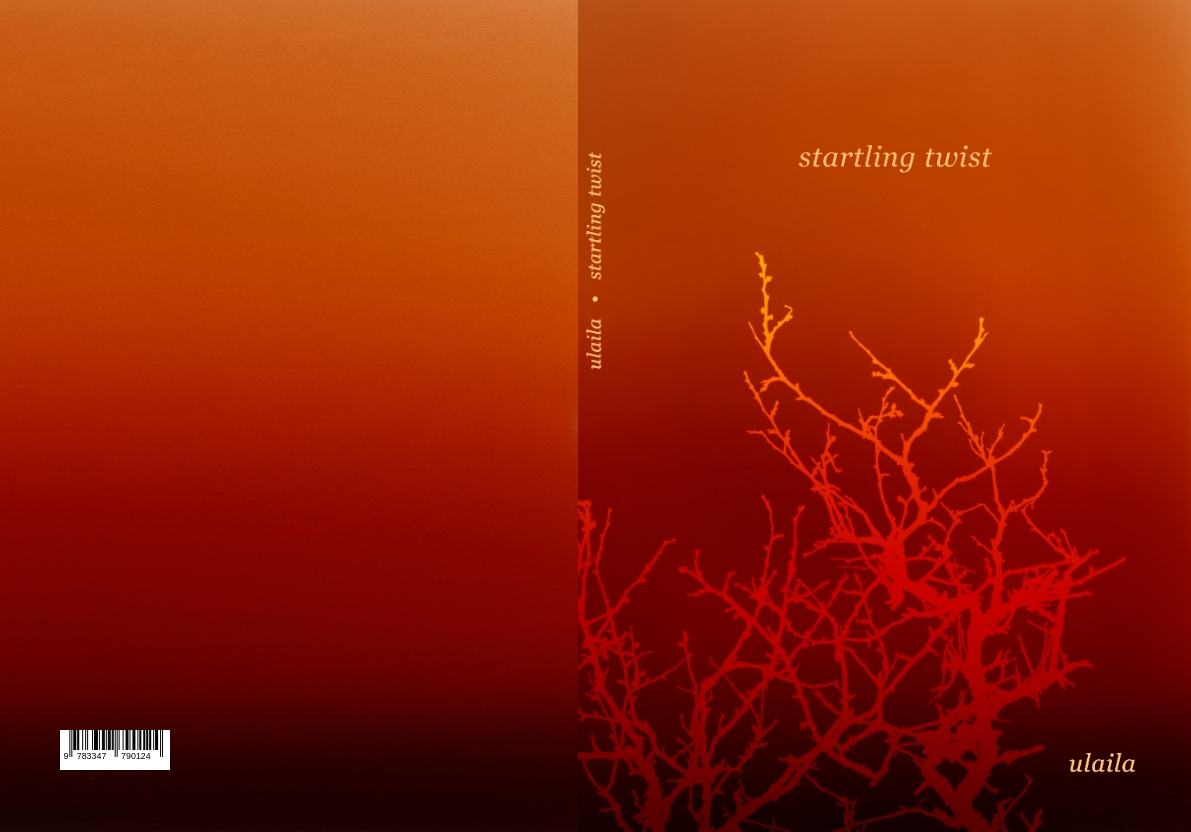 Gesamtes Coverbild startling twist
