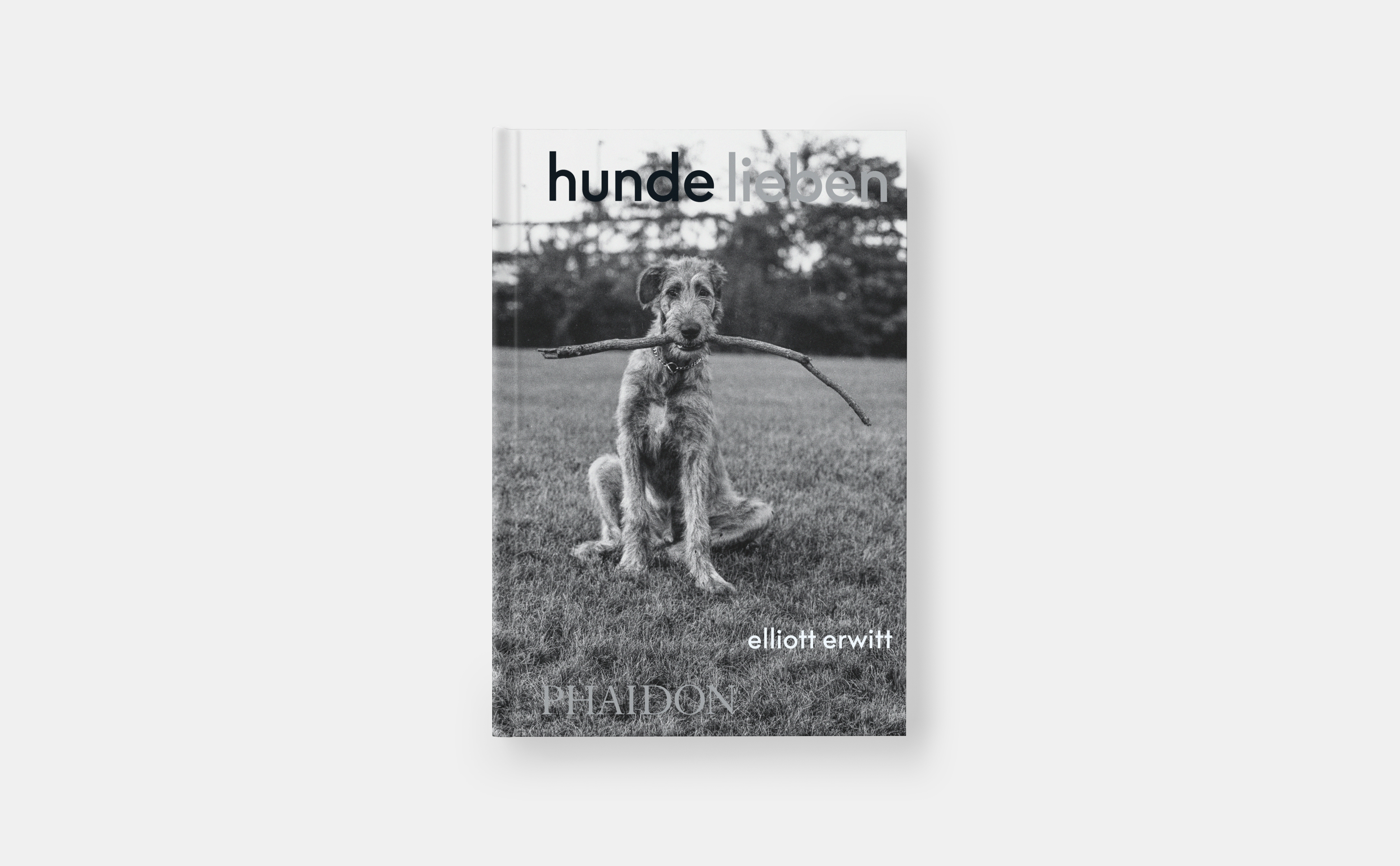 Beispielinhalt (Bild) Hunde lieben