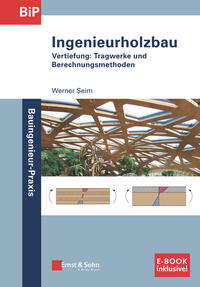 Vorderes Coverbild Ingenieurholzbau