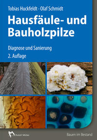 Vorderes Coverbild Hausfäule- und Bauholzpilze