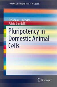 Vorderes Coverbild Pluripotency in Domestic Animal Cells