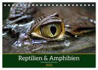 Vorderes Coverbild Reptilien & Amphibien Portraits (Tischkalender 2025 DIN A5 quer), CALVENDO Monatskalender