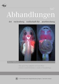 Vorderes Coverbild The glass frog tadpoles of Costa Rica (Anura: Centrolenidae): A study of morphology